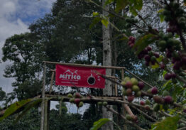 Regresa La PCC MTB Series